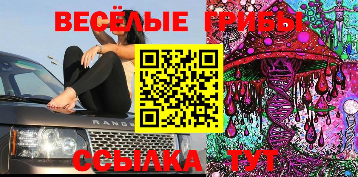 Галлюциногенные грибы Psilocybe Жуковский